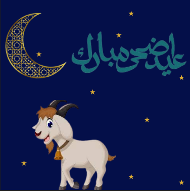Design 3